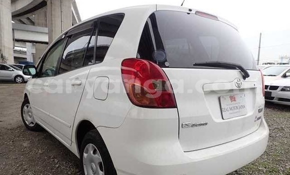 Buy Used Toyota Spacio White Car in Blantyre in Malawi Buy Used Toyota Spacio White Car in Blantyre in Malawi