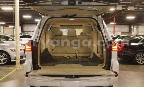 Buy Used Lexus LX 570 White Car in Chikwawa in Chikwawa Buy Used Lexus LX 570 White Car in Chikwawa in Chikwawa