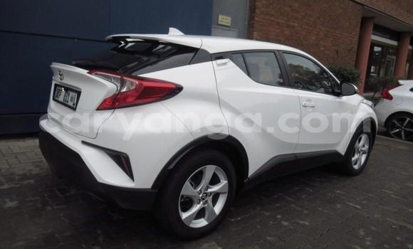 Nunua Ilio tumika Toyota C-HR White Gari ndani ya Blantyre nchini Malawi Nunua Ilio tumika Toyota C-HR White Gari ndani ya Blantyre nchini Malawi