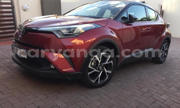 Nunua Ilio tumika Toyota C-HR Red Gari ndani ya Blantyre nchini Malawi Nunua Ilio tumika Toyota C-HR Red Gari ndani ya Blantyre nchini Malawi