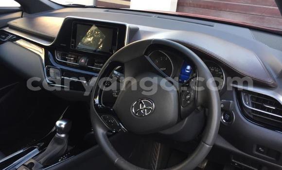 Nunua Ilio tumika Toyota C-HR Red Gari ndani ya Blantyre nchini Malawi Nunua Ilio tumika Toyota C-HR Red Gari ndani ya Blantyre nchini Malawi