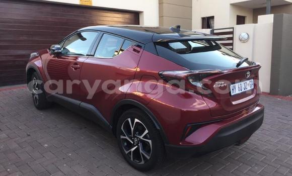 Nunua Ilio tumika Toyota C-HR Red Gari ndani ya Blantyre nchini Malawi Nunua Ilio tumika Toyota C-HR Red Gari ndani ya Blantyre nchini Malawi