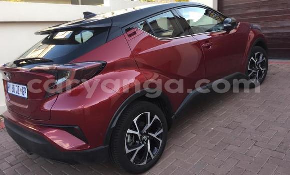 Nunua Ilio tumika Toyota C-HR Red Gari ndani ya Blantyre nchini Malawi Nunua Ilio tumika Toyota C-HR Red Gari ndani ya Blantyre nchini Malawi