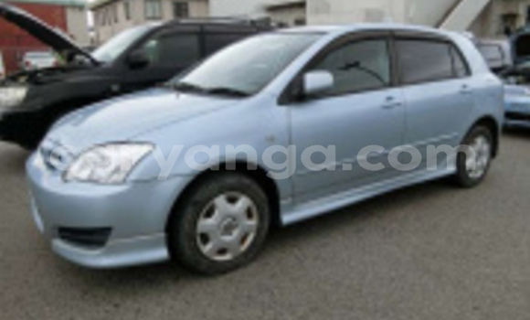 Buy Import Toyota Runx Black Car in Blantyre in Malawi