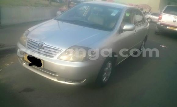 Buy Used Toyota Corolla Black Car in Limbe in Malawi Buy Used Toyota Corolla Black Car in Limbe in Malawi