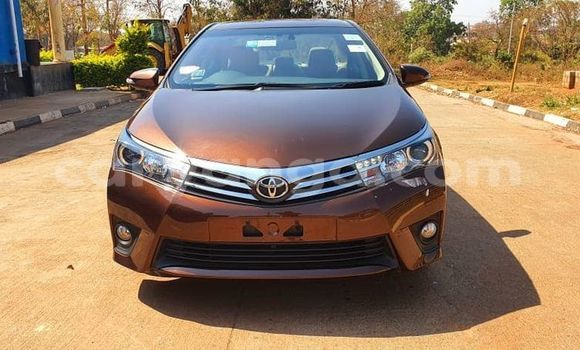 Buy Used Toyota Corolla Brown Car in Blantyre in Malawi Buy Used Toyota Corolla Brown Car in Blantyre in Malawi