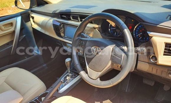 Buy Used Toyota Corolla Brown Car in Blantyre in Malawi Buy Used Toyota Corolla Brown Car in Blantyre in Malawi