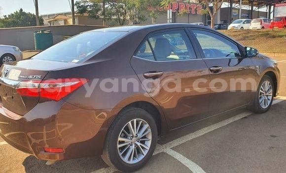 Buy Used Toyota Corolla Brown Car in Blantyre in Malawi Buy Used Toyota Corolla Brown Car in Blantyre in Malawi