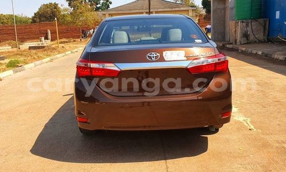Buy Used Toyota Corolla Brown Car in Blantyre in Malawi Buy Used Toyota Corolla Brown Car in Blantyre in Malawi