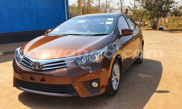 Buy Used Toyota Corolla Brown Car in Blantyre in Malawi Buy Used Toyota Corolla Brown Car in Blantyre in Malawi