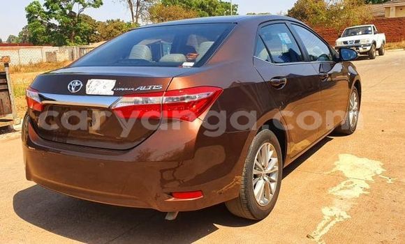 Buy Used Toyota Corolla Brown Car in Blantyre in Malawi Buy Used Toyota Corolla Brown Car in Blantyre in Malawi