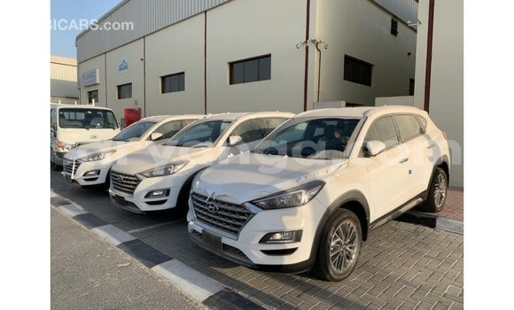 Acheter Import Voiture Hyundai Tucson Blanc à Import - Dubai, Malawi Acheter Import Voiture Hyundai Tucson Blanc à Import - Dubai, Malawi