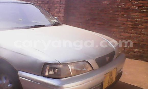 Buy Used Toyota Vios Black Car in Limbe in Malawi
