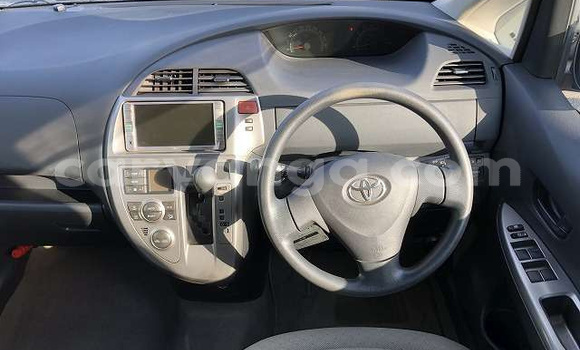Buy Import Toyota Ractis Beige Car in Blantyre in Malawi Buy Import Toyota Ractis Beige Car in Blantyre in Malawi
