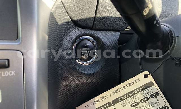 Buy Import Toyota Ractis Beige Car in Blantyre in Malawi Buy Import Toyota Ractis Beige Car in Blantyre in Malawi