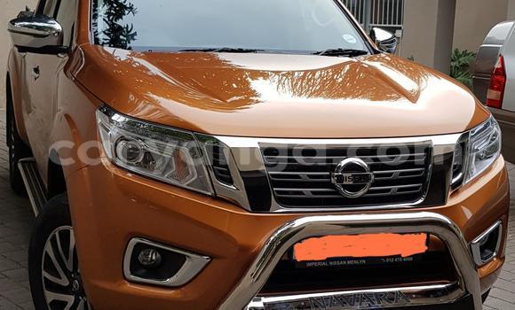 Buy Used Nissan Navara (Frontier) Other Car in Blantyre in Malawi Buy Used Nissan Navara (Frontier) Other Car in Blantyre in Malawi