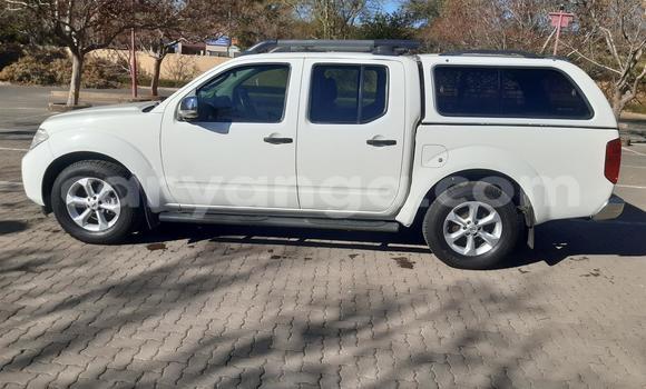 Buy Used Nissan Navara White Car in Blantyre in Malawi Buy Used Nissan Navara White Car in Blantyre in Malawi