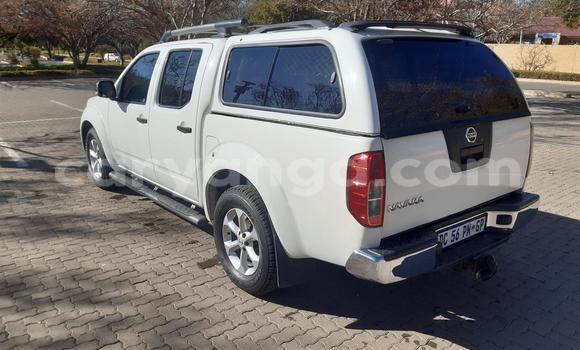 Buy Used Nissan Navara White Car in Blantyre in Malawi Buy Used Nissan Navara White Car in Blantyre in Malawi