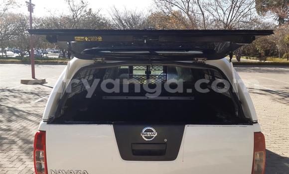 Buy Used Nissan Navara White Car in Blantyre in Malawi Buy Used Nissan Navara White Car in Blantyre in Malawi