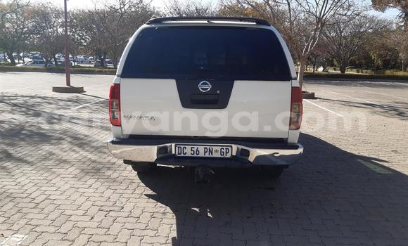 Buy Used Nissan Navara White Car in Blantyre in Malawi Buy Used Nissan Navara White Car in Blantyre in Malawi