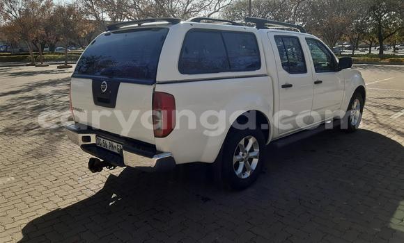 Buy Used Nissan Navara White Car in Blantyre in Malawi Buy Used Nissan Navara White Car in Blantyre in Malawi