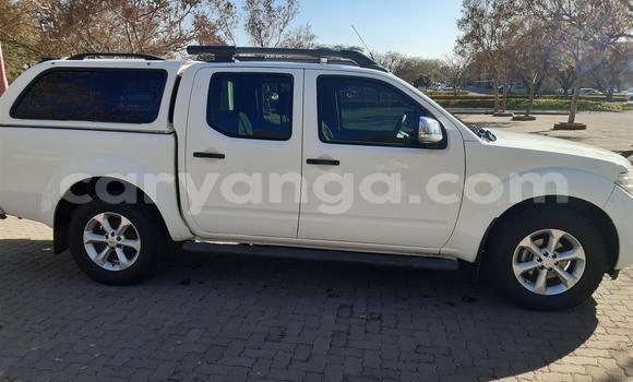 Buy Used Nissan Navara White Car in Blantyre in Malawi Buy Used Nissan Navara White Car in Blantyre in Malawi