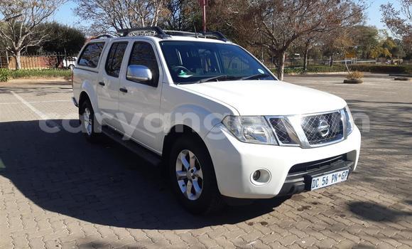 Buy Used Nissan Navara White Car in Blantyre in Malawi Buy Used Nissan Navara White Car in Blantyre in Malawi