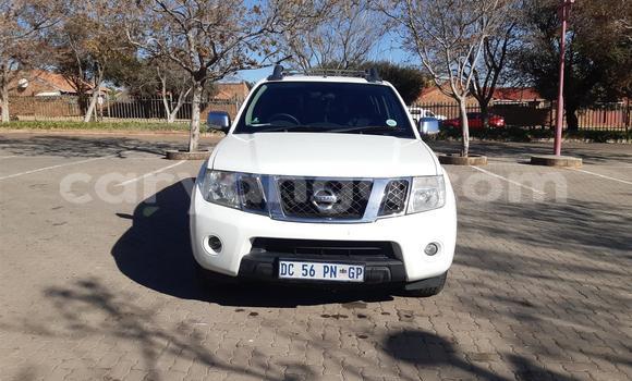 Buy Used Nissan Navara White Car in Blantyre in Malawi Buy Used Nissan Navara White Car in Blantyre in Malawi