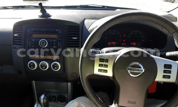 Buy Used Nissan Navara White Car in Blantyre in Malawi Buy Used Nissan Navara White Car in Blantyre in Malawi