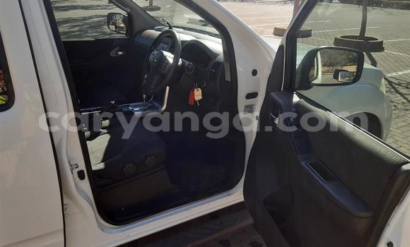 Buy Used Nissan Navara White Car in Blantyre in Malawi Buy Used Nissan Navara White Car in Blantyre in Malawi