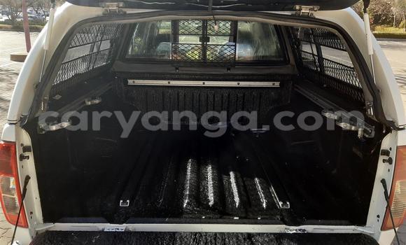 Buy Used Nissan Navara White Car in Blantyre in Malawi Buy Used Nissan Navara White Car in Blantyre in Malawi