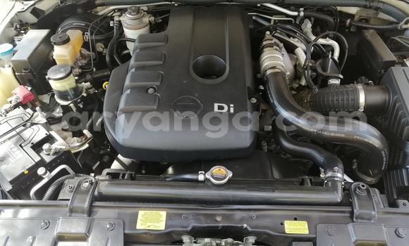 Buy Used Nissan Navara White Car in Chikwawa in Chikwawa Buy Used Nissan Navara White Car in Chikwawa in Chikwawa