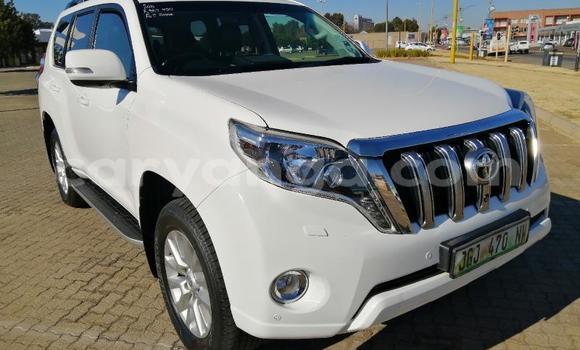 Buy Used Toyota Land Cruiser Prado White Car in Blantyre in Malawi