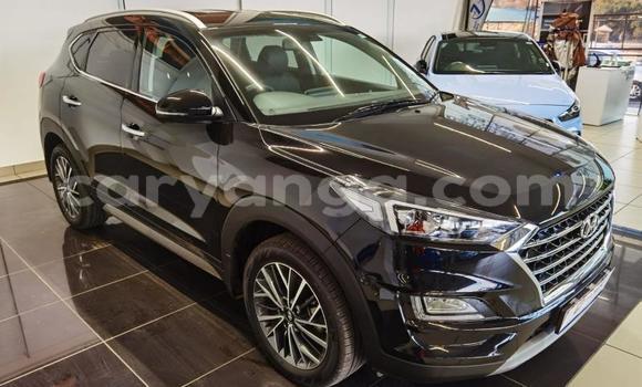 Nunua Ilio tumika Hyundai Tucson Black Gari ndani ya Dowa nchini Dowa Nunua Ilio tumika Hyundai Tucson Black Gari ndani ya Dowa nchini Dowa