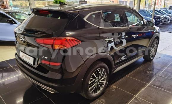 Nunua Ilio tumika Hyundai Tucson Black Gari ndani ya Dowa nchini Dowa Nunua Ilio tumika Hyundai Tucson Black Gari ndani ya Dowa nchini Dowa