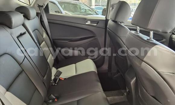 Nunua Ilio tumika Hyundai Tucson Black Gari ndani ya Dowa nchini Dowa Nunua Ilio tumika Hyundai Tucson Black Gari ndani ya Dowa nchini Dowa