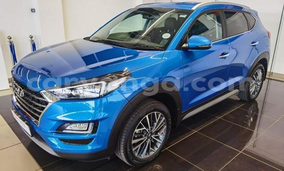 Nunua Ilio tumika Hyundai Tucson Blue Gari ndani ya Chikwawa nchini Chikwawa Nunua Ilio tumika Hyundai Tucson Blue Gari ndani ya Chikwawa nchini Chikwawa