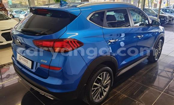 Nunua Ilio tumika Hyundai Tucson Blue Gari ndani ya Chikwawa nchini Chikwawa Nunua Ilio tumika Hyundai Tucson Blue Gari ndani ya Chikwawa nchini Chikwawa