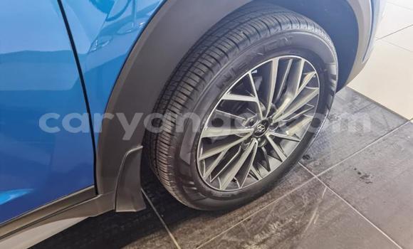 Nunua Ilio tumika Hyundai Tucson Blue Gari ndani ya Chikwawa nchini Chikwawa Nunua Ilio tumika Hyundai Tucson Blue Gari ndani ya Chikwawa nchini Chikwawa