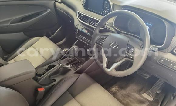 Nunua Ilio tumika Hyundai Tucson Blue Gari ndani ya Chikwawa nchini Chikwawa Nunua Ilio tumika Hyundai Tucson Blue Gari ndani ya Chikwawa nchini Chikwawa