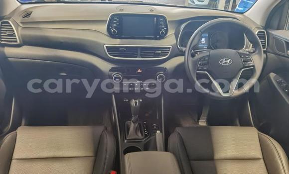 Nunua Ilio tumika Hyundai Tucson Blue Gari ndani ya Chikwawa nchini Chikwawa Nunua Ilio tumika Hyundai Tucson Blue Gari ndani ya Chikwawa nchini Chikwawa