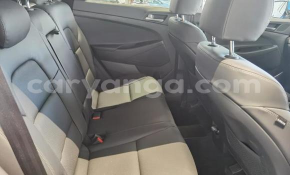 Nunua Ilio tumika Hyundai Tucson Blue Gari ndani ya Chikwawa nchini Chikwawa Nunua Ilio tumika Hyundai Tucson Blue Gari ndani ya Chikwawa nchini Chikwawa