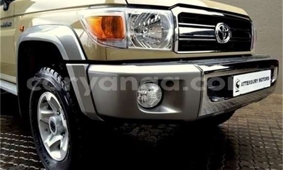Buy Used Toyota Land Cruiser Beige Car in Lilongwe in Malawi Buy Used Toyota Land Cruiser Beige Car in Lilongwe in Malawi
