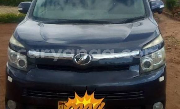 Nunua Ilio tumika Toyota Voxy Blue Gari ndani ya Blantyre nchini Malawi Nunua Ilio tumika Toyota Voxy Blue Gari ndani ya Blantyre nchini Malawi
