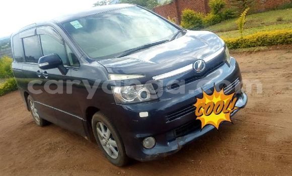 Nunua Ilio tumika Toyota Voxy Blue Gari ndani ya Blantyre nchini Malawi Nunua Ilio tumika Toyota Voxy Blue Gari ndani ya Blantyre nchini Malawi