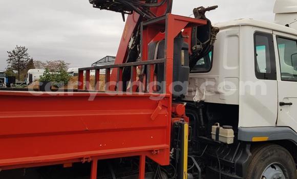 Buy Used Nissan UD White Truck in Blantyre in Malawi Buy Used Nissan UD White Truck in Blantyre in Malawi