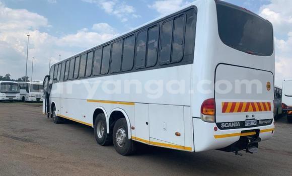 Buy Used Scania Irizar White Truck in Blantyre in Malawi Buy Used Scania Irizar White Truck in Blantyre in Malawi