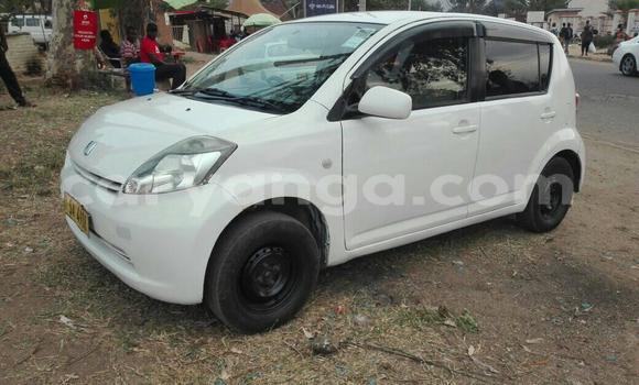 Buy Used Toyota Passo White Car in Blantyre in Malawi Buy Used Toyota Passo White Car in Blantyre in Malawi