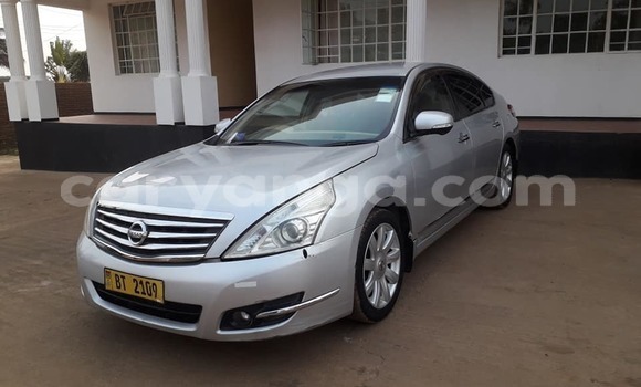 Buy Used Nissan Teana Silver Car in Blantyre in Malawi Buy Used Nissan Teana Silver Car in Blantyre in Malawi