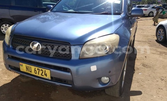 Buy Used Toyota RAV4 Blue Car in Blantyre in Malawi Buy Used Toyota RAV4 Blue Car in Blantyre in Malawi